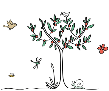 risorse naturali