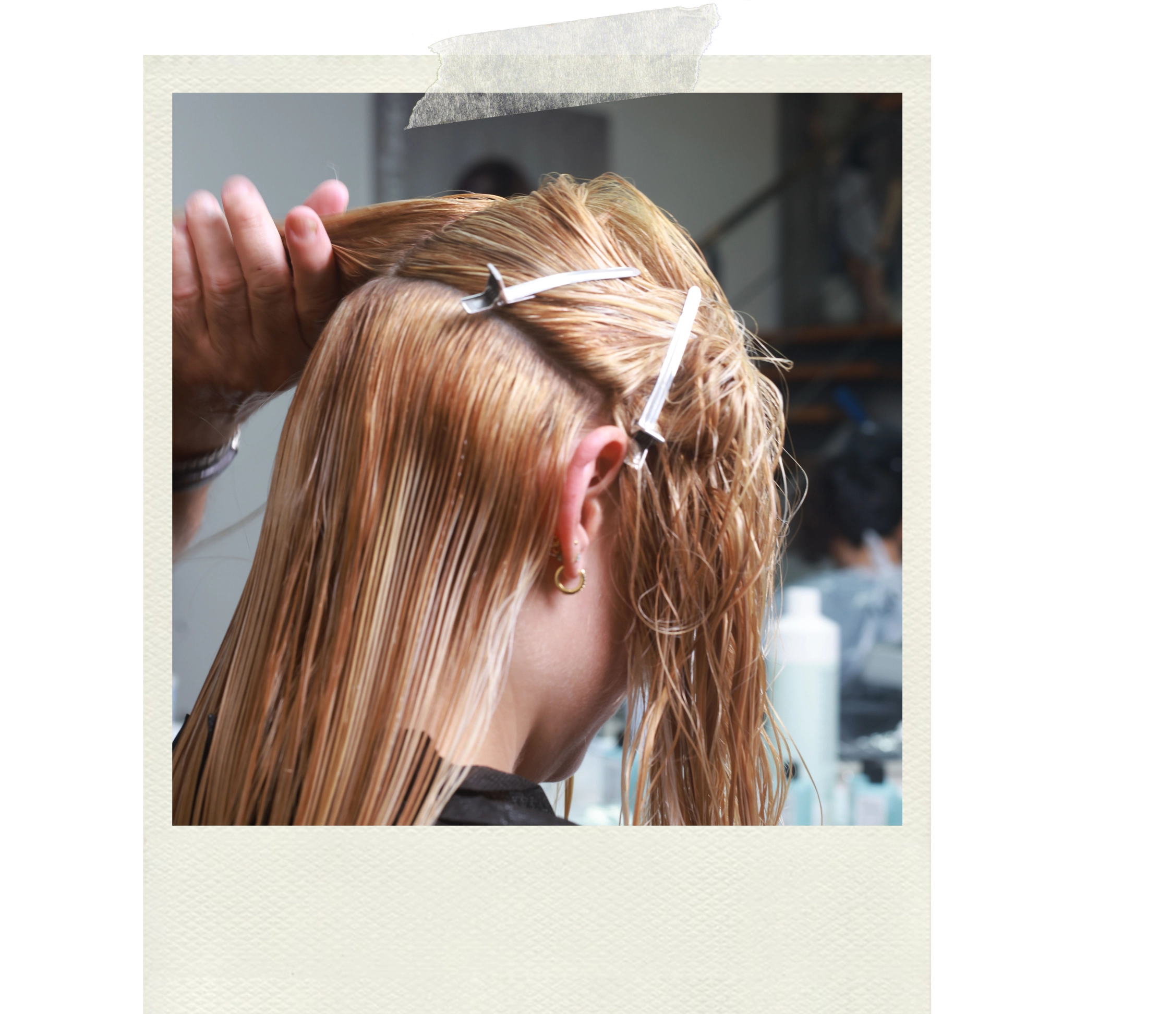 Artego Bulgarias Its Colour Seminar